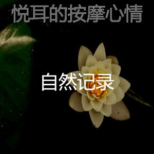 一尘不染器乐印象数