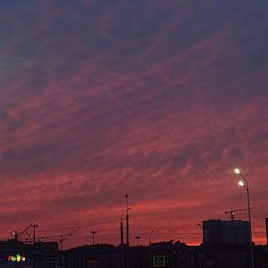 Я схожу с ума