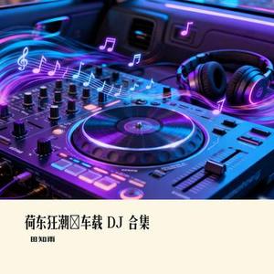 荷东狂潮・车载 DJ 合集⑮