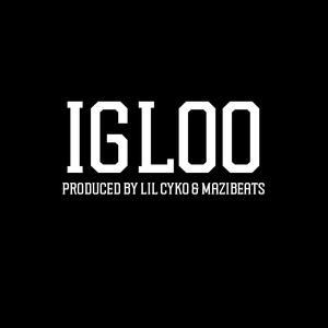 Igloo