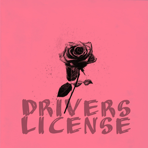 drivers license