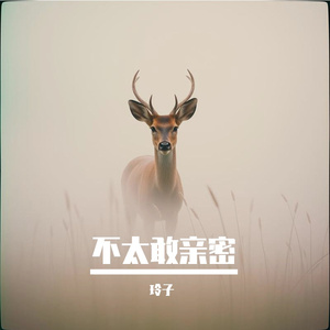 曾在你日记里哭泣