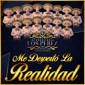 Me Despertó La Realidad