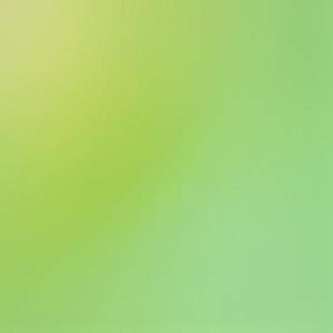 Hushed Reverberation