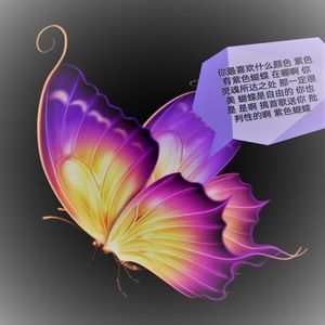 紫色蝴蝶