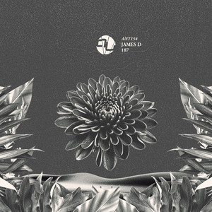 Epinephrine (Radio Edit)