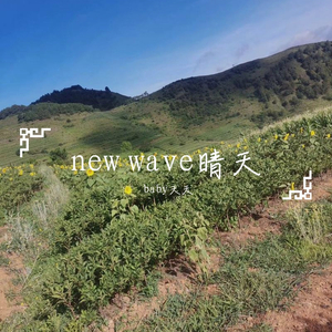new wave晴天
