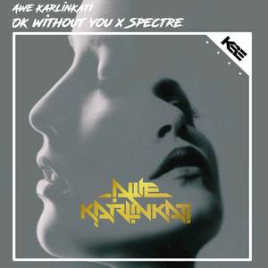 Dj Ok Without You X Spectre