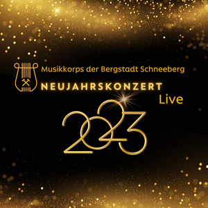 Besuch bei Johann Strauss (Live)