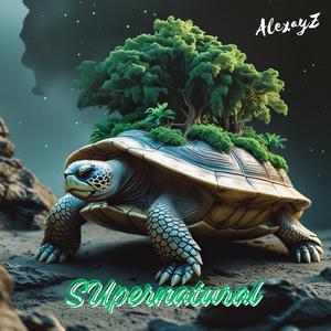 Bioacoustic Dream Tapestry