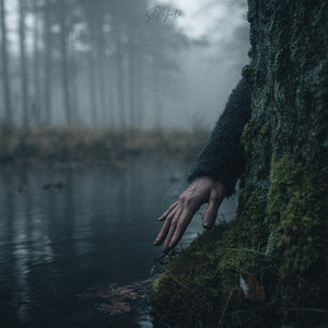 Звёзды над дорогой