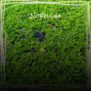 Nobelium