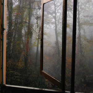 November