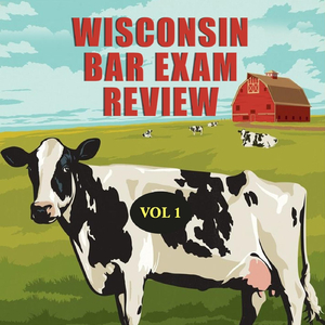 Aforementioned / Felony / Indigent / Business Plan