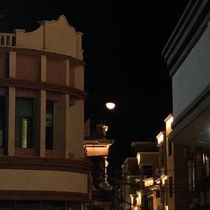 自从你离开我以后