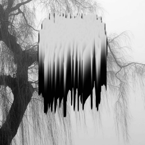 PCP Jesus (Grausamkeit cover)