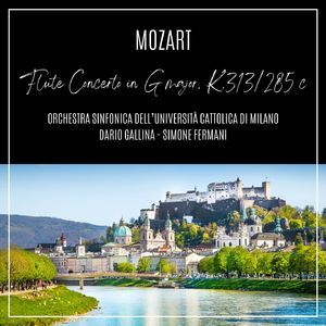 Flute Concerto in G Major, K. 313/285c:II. Adagio ma non troppo