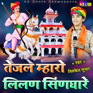 तेजल मारो लीलण सिणघारे