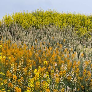 bulongs-霓虹以后（bulongs remix）