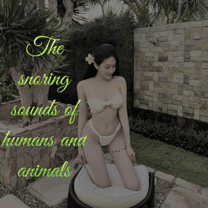 The Snoring Sound of Humans Animais