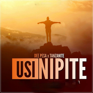 Usinipite