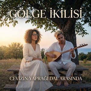 Cevizin Yaprağı Dal Arasında