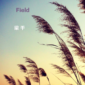 Field