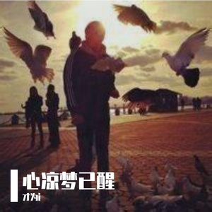 心凉梦已醒