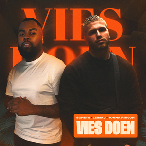 Vies Doen