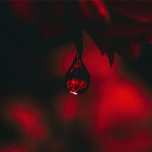 DRIP (feat. DRIPPIN SO PRETTY & KCSB)