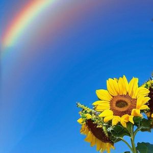 《灵动琴音点亮旅行Vlog》