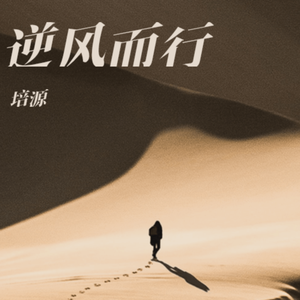 逆风而行wav