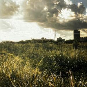 Time To Love (纯音乐)