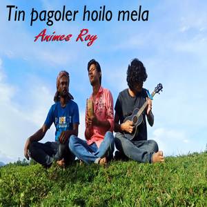 Tin Pagoler Hoilo Mela
