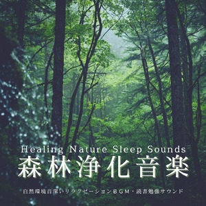 森の自然音で眠りに落ちる