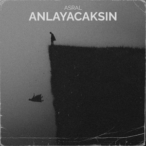 Anlayacaksın