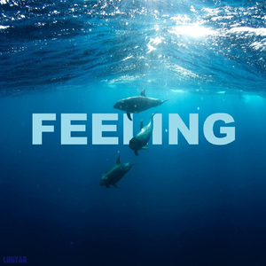 Feeling