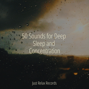 Dreams Adorned in Gold