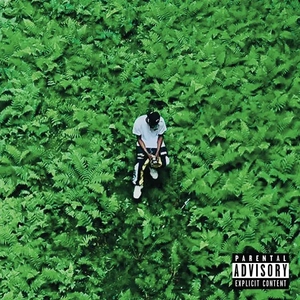 Red Light District (feat. Daniel Son)