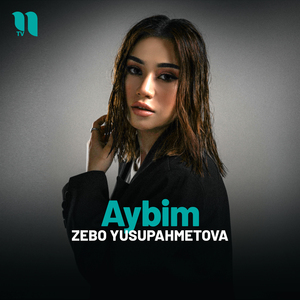 Aybim