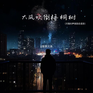 大风吹倒梧桐树 (天赐的声音励志语录)