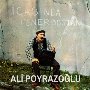İcabında Fenerbostan (Ali Uyanık)