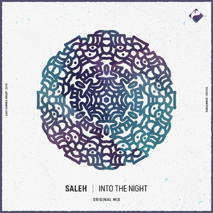 Into the Night (Original Mix)