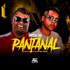 Mc Delux - Hitizin do Pantanal