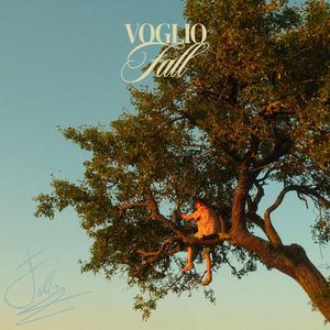 Voglio