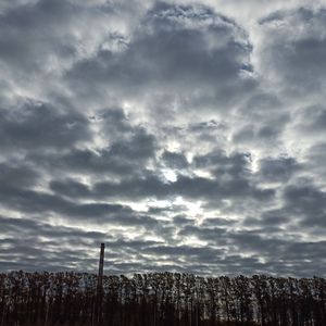 甘（feat.vGinspirationKing）