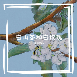 白山茶和白玫瑰