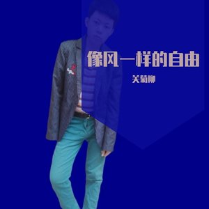 像风一样的自由