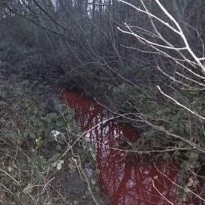 jerknb*hoodtrap*ambient*cloud jerk type beat