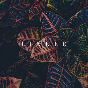 Linker